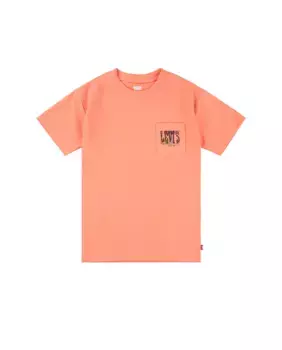 Футболка Levi's Canyon Landscape для мальчиков, оранжевый