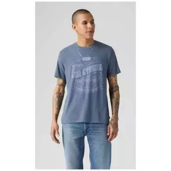 Футболка Levi's Graphic, синий