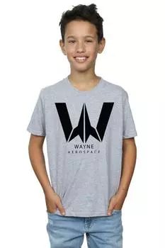 Футболка «Лига справедливости» с фильмом «Уэйн Аэрокосмическая промышленность» DC Comics, серый