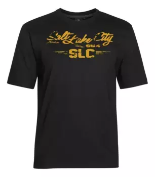 Футболка MAPLE SPORTSWEAR с круглым вырезом Ahorn Sportswear, черный