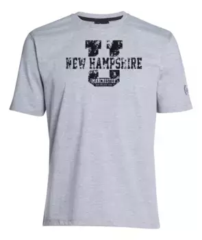 Футболка MAPLE SPORTSWEAR с круглым вырезом Ahorn Sportswear, серый