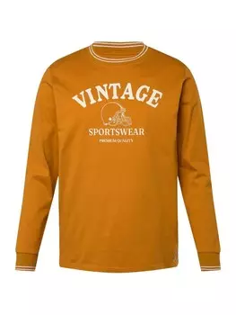 Футболка Men Plus, цвет zimt