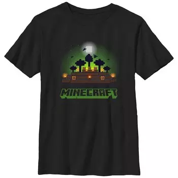 Футболка Minecraft для мальчиков 8–20 лет с рисунком тыквы и ночи Licensed Character, черный