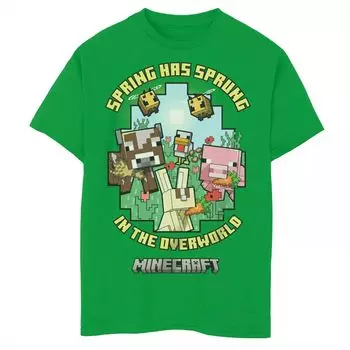 Футболка Minecraft для мальчиков 8–20 лет «Весна пришла в мир» с изображением сельскохозяйственных животных и пчел Licensed Character