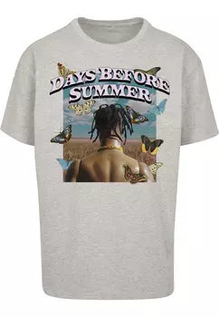 Футболка Mister Tee s, серый