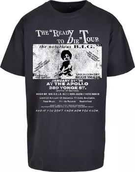 Футболка Mister Tee, синий