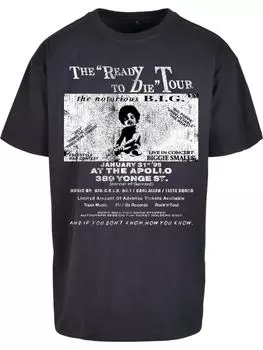 Футболка Mister Tee, синий