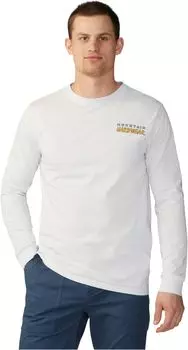 Футболка Mountain Hardwear Logo LandscapeLong Sleeve, цвет Fogbank