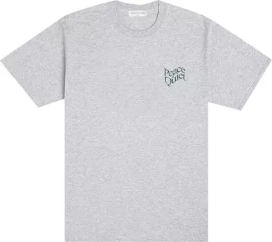 Футболка Museum of Peace & Quiet Warped Wordmark T-Shirt 'Heather Grey', серый