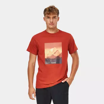 Футболка мужская Alpinus Drefekal