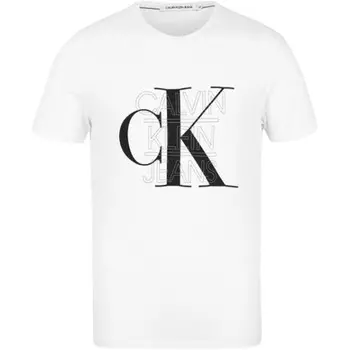 Футболка мужская белая Calvin Klein, белый