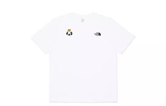 Футболка мужская белая The North Face, белый