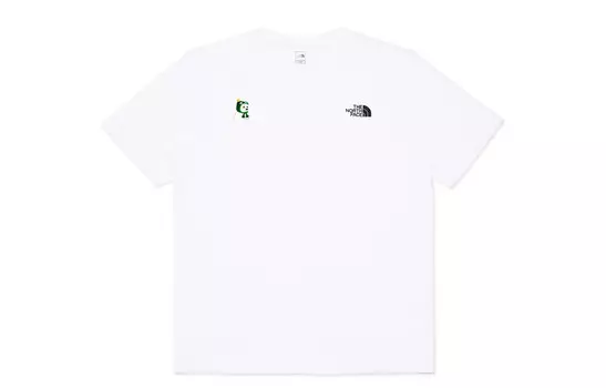 Футболка мужская белая The North Face, белый