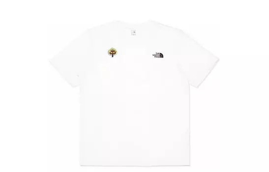 Футболка мужская белая The North Face, белый