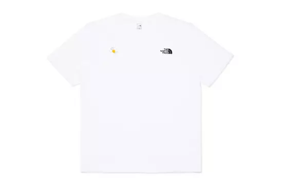 Футболка мужская белая The North Face, белый