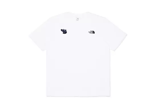 Футболка мужская белая The North Face, белый
