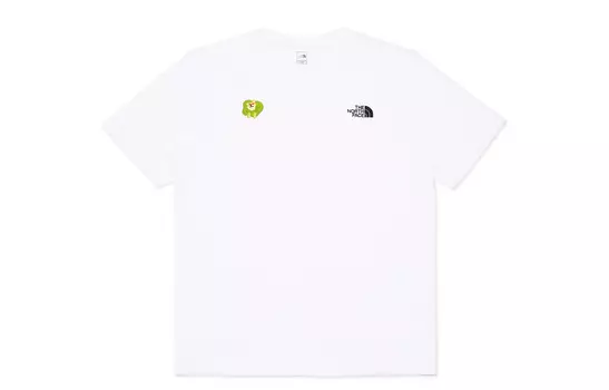 Футболка мужская белая The North Face, белый