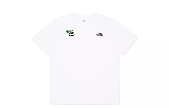Футболка мужская белая The North Face, белый