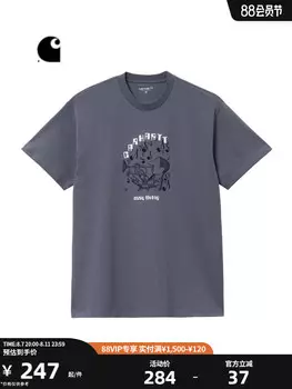 Футболка мужская Carhartt WIP с принтом, белый / серый