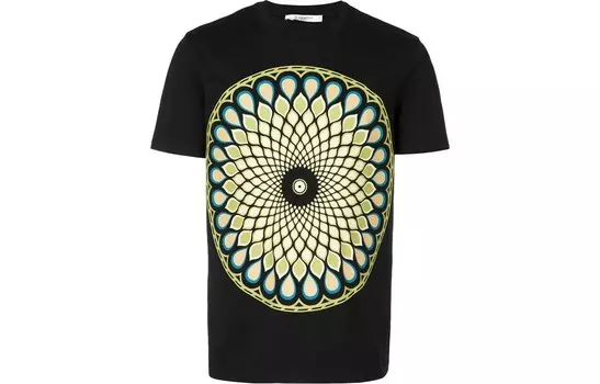 Футболка мужская черная Givenchy, черный