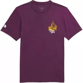 Футболка мужская черная смородина фиолетовая The North Face, черный