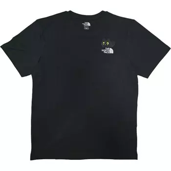 Футболка мужская черная The North Face, черный