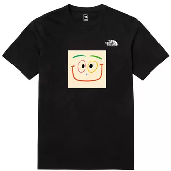 Футболка мужская черная The North Face, черный