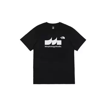 Футболка мужская черная The North Face, черный