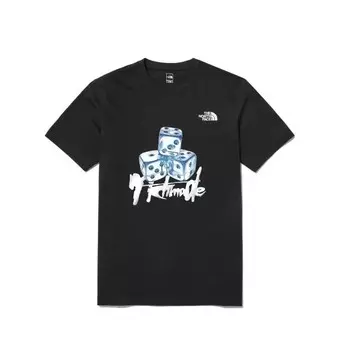 Футболка мужская черная The North Face, черный