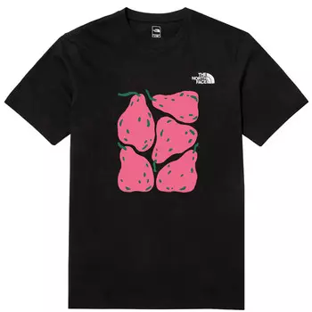Футболка мужская черная The North Face, черный