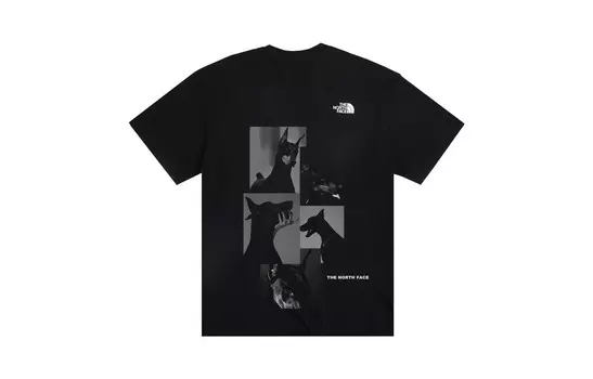 Футболка мужская черная The North Face, черный