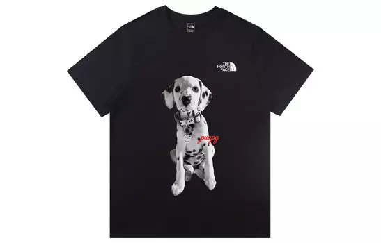 Футболка мужская черная The North Face, черный