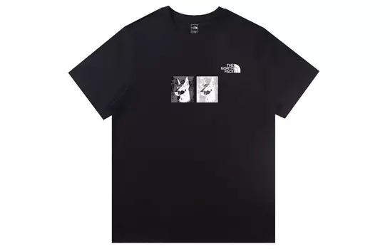 Футболка мужская черная The North Face, черный