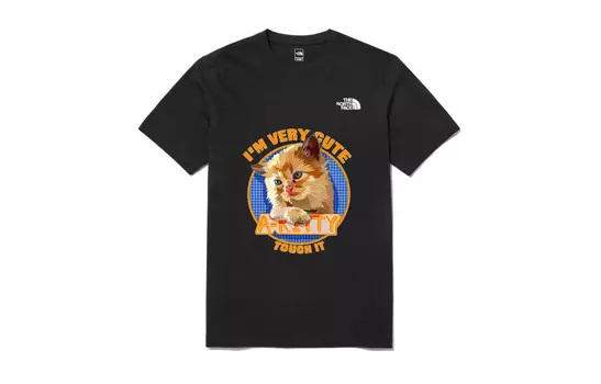 Футболка мужская черная The North Face, черный