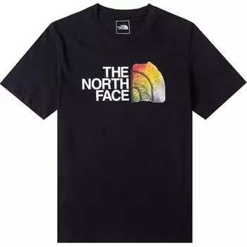 Футболка мужская черная The North Face, черный
