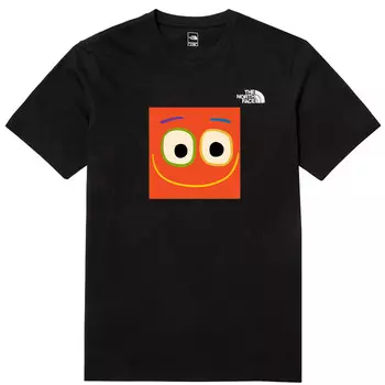 Футболка мужская черная The North Face, черный