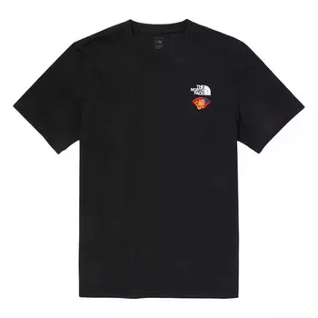 Футболка мужская черная The North Face, черный
