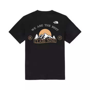 Футболка мужская черная The North Face, черный