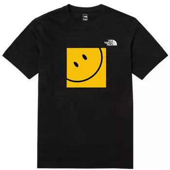 Футболка мужская черная The North Face, черный