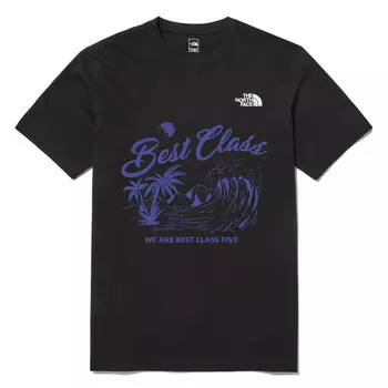 Футболка мужская черная The North Face, черный
