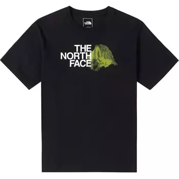 Футболка мужская черная The North Face, черный