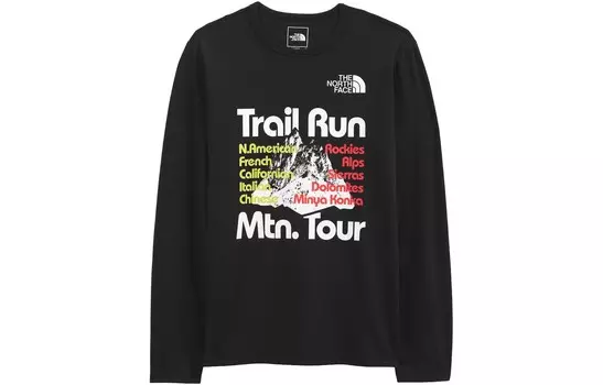 Футболка мужская черная The North Face, черный