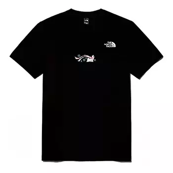 Футболка мужская черная The North Face, черный