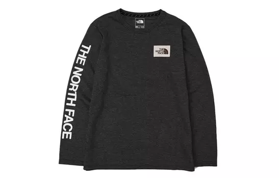 Футболка мужская черная The North Face, черный