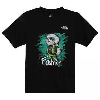 Футболка мужская черная The North Face, черный