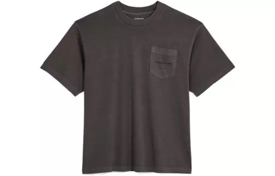 Футболка мужская Coach, серый
