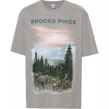 Футболка мужская, цвет серый Loewe, цвет Heather Gray