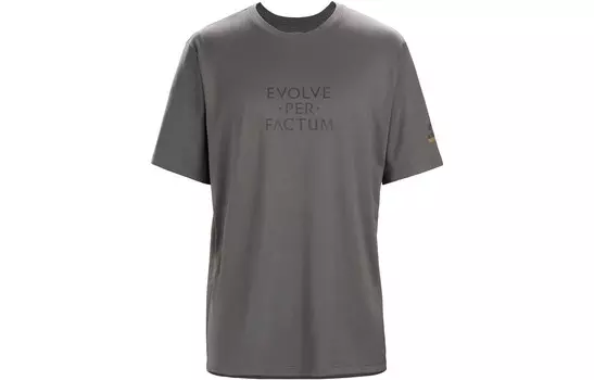 Футболка мужская ENVOY ARC"WORD, цвет волка Arcteryx, цвет Wolf color
