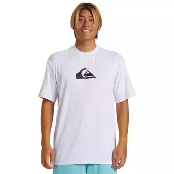 Футболка мужская Everyday Surf Quiksilver, белый