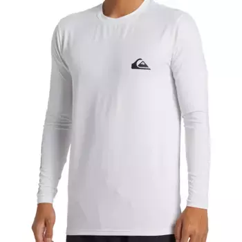 Футболка мужская Everyday Surf Quiksilver, белый